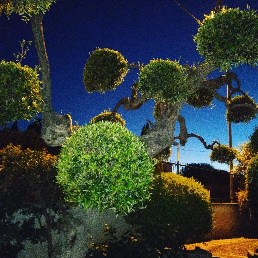 Bnb Villa Lucia Μπάρι Εξωτερικό φωτογραφία